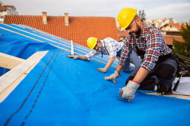 Best Chimney Flashing Repair  in Taylors Falls, MN